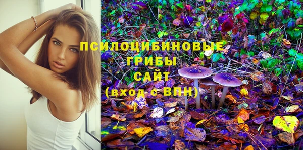 индика Алзамай