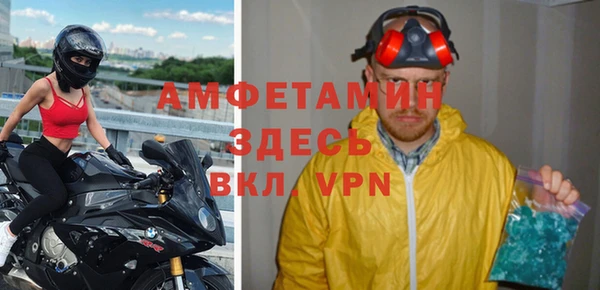 гидра Алексеевка