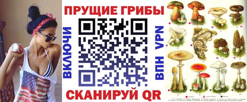 Псилоцибиновые грибы прущие грибы закладки Казань